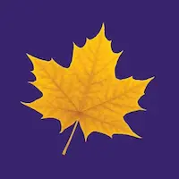 Wilfrid Laurier University (WLU), Waterloo Campus