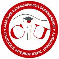 Caucasus International University
