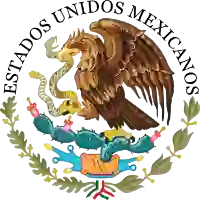 Government of Mexico Scholarship programs