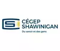 Collège Shawinigan (College Shawinigan), Canada